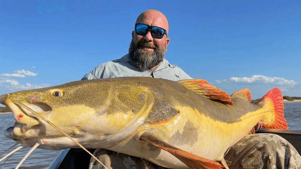 Pesca Esportiva no Araguaia: Variedade de Espécies e Muita Adrenalina