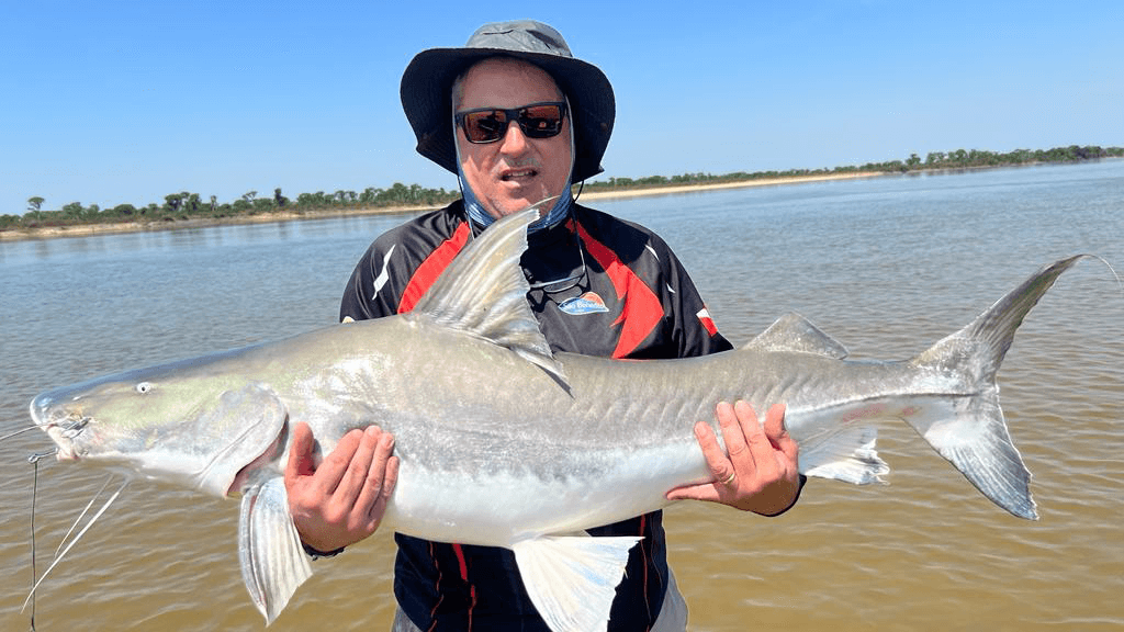 Pescaria de Peixes de Couro: Uma Verdadeira Paixão Nacional